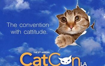 Cat Nerds Rejoice! CatConLA is Back and More Cat-tastic Than Ever