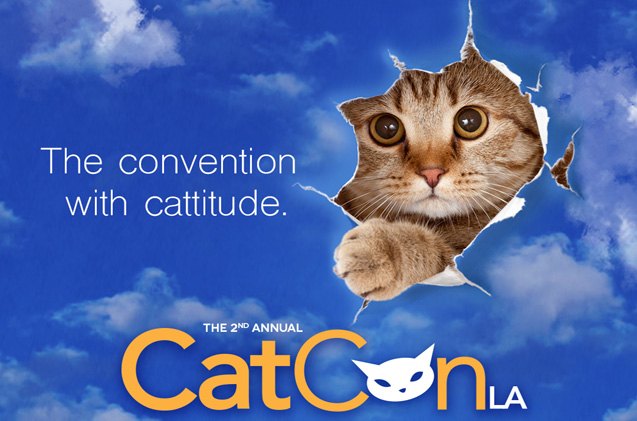 cat nerds rejoice catconla is back and more cat tastic than ever