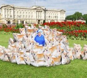 how many dogs does queen elizabeth own