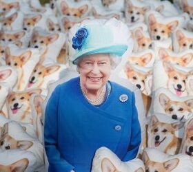 snuggle up with the queen and her corgi pillow clones