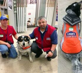 Lowes Hires Man and His Service Dog