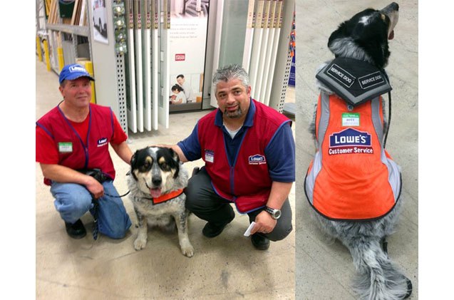 lowes hires man and his service dog