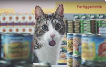 5 Awesome Pet Videos You Probably Missed This Week