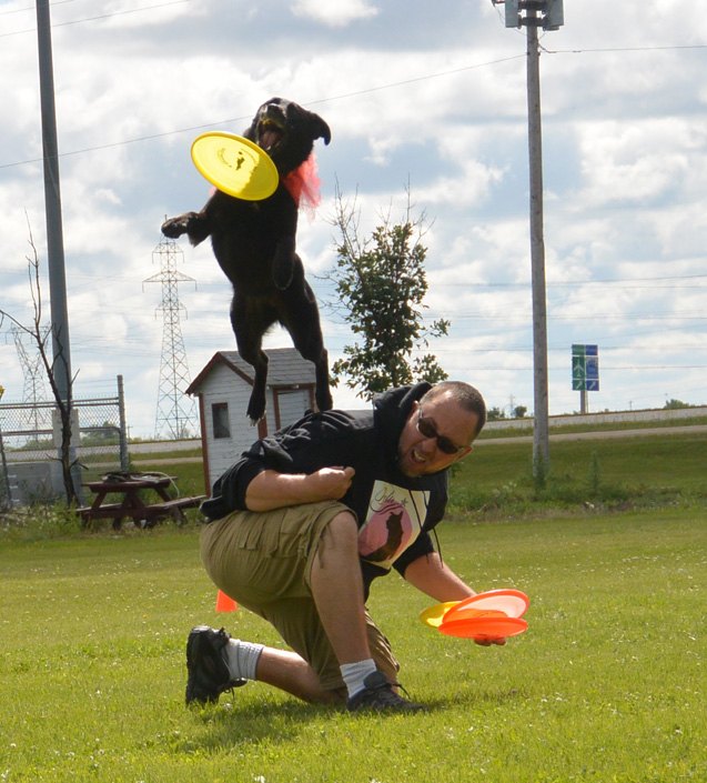 4 pro tips to picking the right dog disc