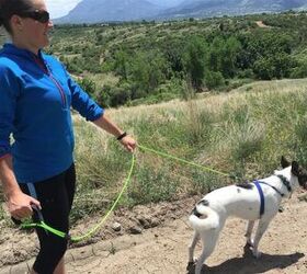 Go Hands Free With PaxLeash, the Extreme Jogging Leash
