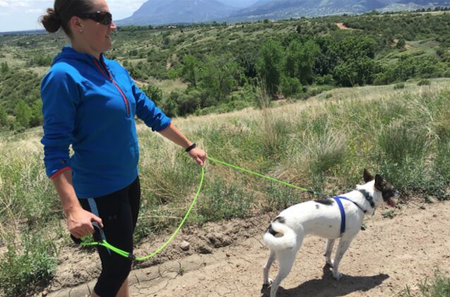 go hands free with paxleash the extreme jogging leash