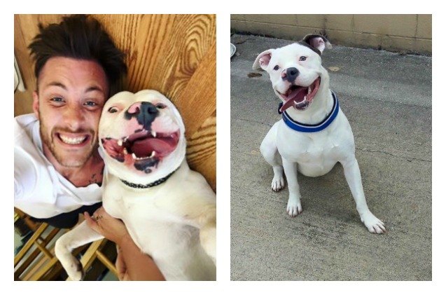 newly adopted dog may lose forever home because of his looks
