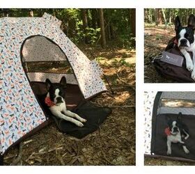 Product Review: P.L.A.Y. Scout Outdoor Dog Tent