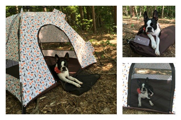 product review p l a y scout outdoor dog tent