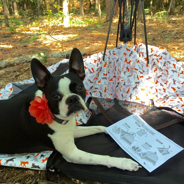 product review p l a y scout outdoor dog tent