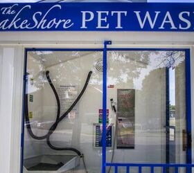 New Laundromat-Style Dog Wash Opens in Michigan