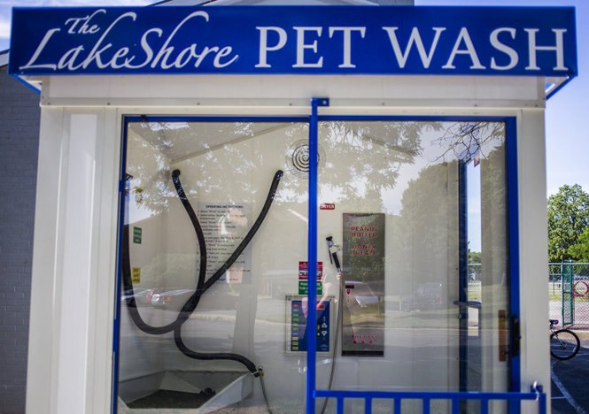 new laundromat style dog wash opens in michigan
