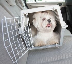 Center for Pet Safety Adds Pet Travel Carrier to Its Certification Pro