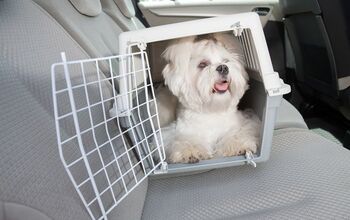 Center for Pet Safety Adds Pet Travel Carrier to Its Certification Pro
