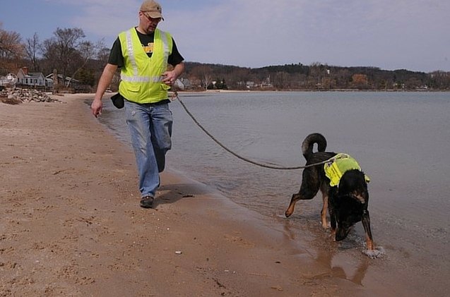 trained dogs sniff for human waste carrying harmful bacteria in water supply