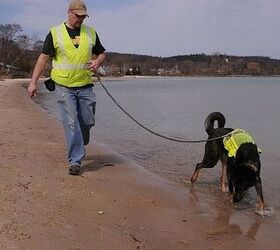 trained dogs sniff for human waste carrying harmful bacteria in water