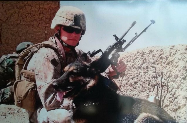 the beautiful final moments of a much loved military service dog