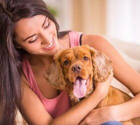 Ask the Hairy DogFathers: Pet Sitting Predicament