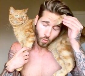 meow hot model loves his adorable cat
