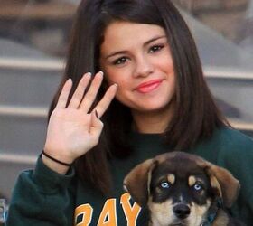 11 celebrities who decided to adopt not shop