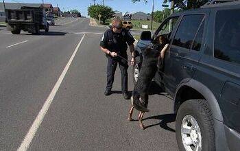 “Throw Away Dogs” Recruited as Police K9 Heroes