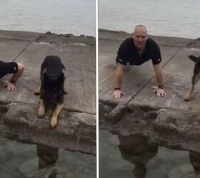 Police Officer and Pooch Do Pushups for Veterans [Video]