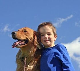 HABRI Study Finds Dogs De-Stress Families With Autistic Children