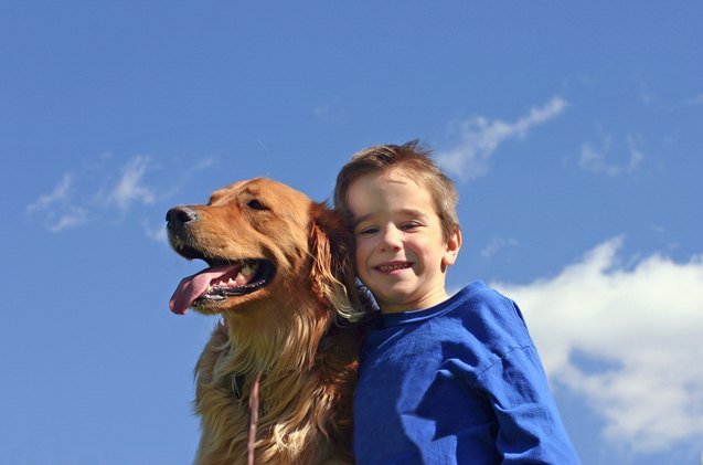 habri study finds dogs de stress families with autistic children