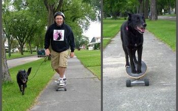 Get Stoked to Go Skateboarding With Your Dog