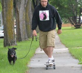 Get Stoked to Go Skateboarding With Your Dog | PetGuide