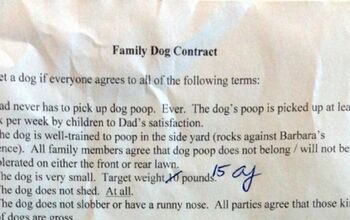 Hilarious Family Contract Sets New Dog Boundaries