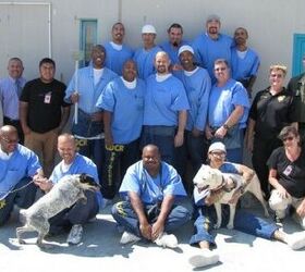 Wildfire Relocates Dogs to Prison,  Inmates Now Rescuers