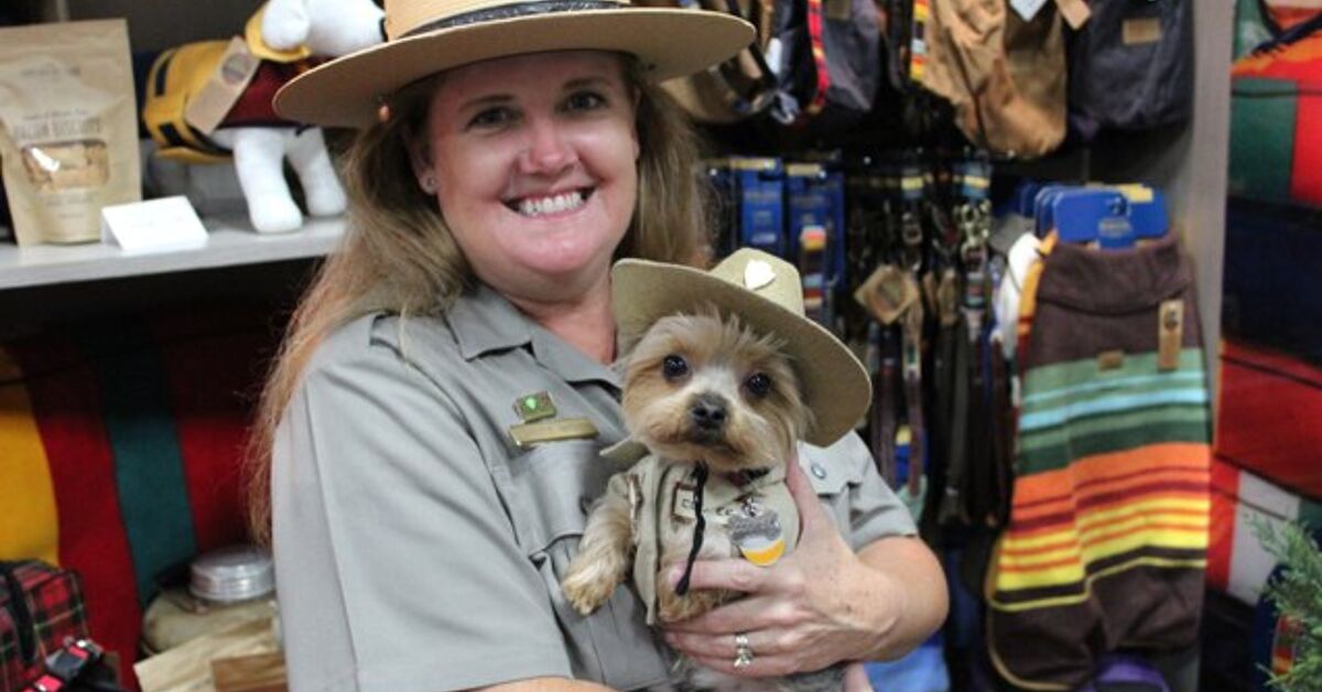 SuperZoo 2016 Day 1: Carolina Pet Company’s Pendleton Pet Collection ...
