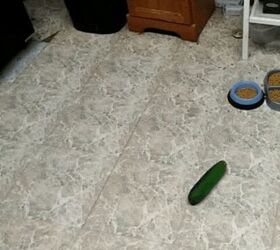 10 cats spooked by scary cucumbers