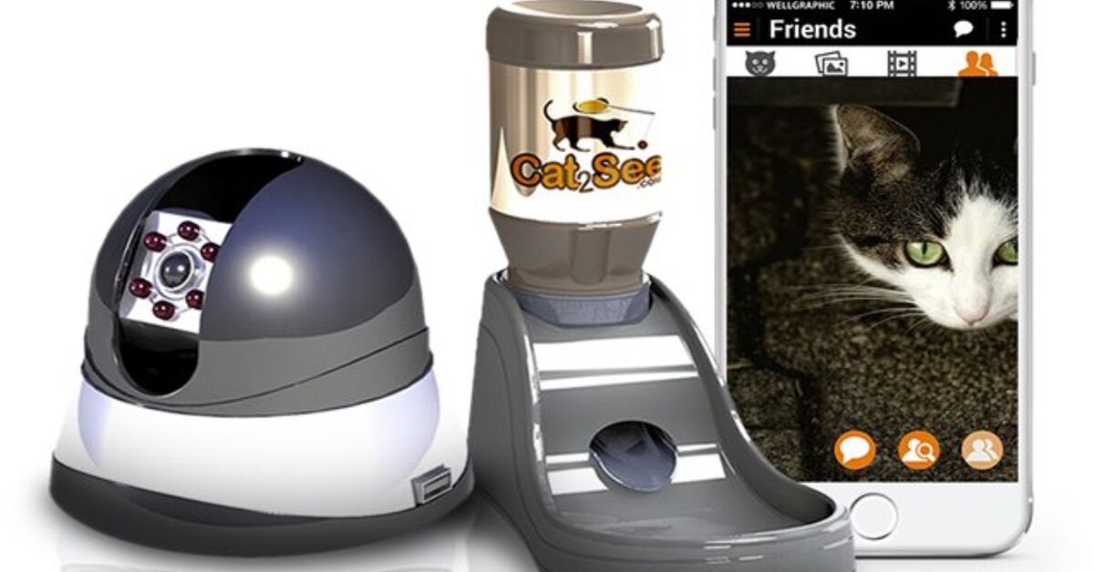 Spy on Your Cat With the Cat2See Camera | PetGuide