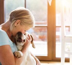 Why Kind Words Are Eternal to Your Pets