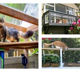 5 Cat-ravagant Perks of an Outdoor Catio