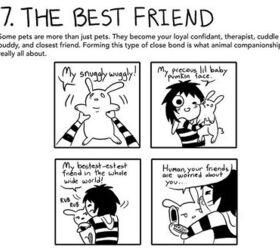 hilarious cartoons depict our relationship with pets