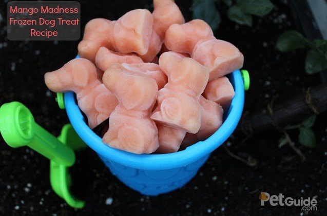mango madness frozen dog treat recipe