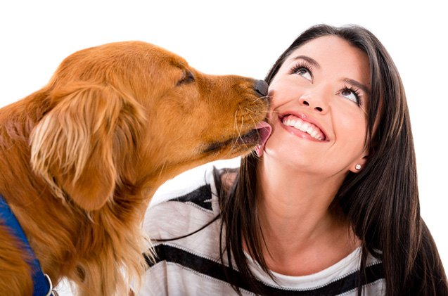 study shows dogs prefer owners over food