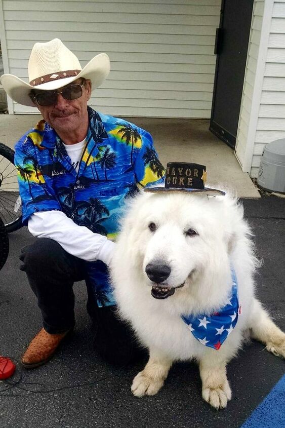 town goes to the dogs as canine mayor is reelected