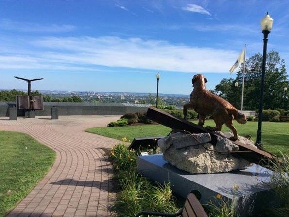 9 11 rescue dogs commemorated with bronze memorial
