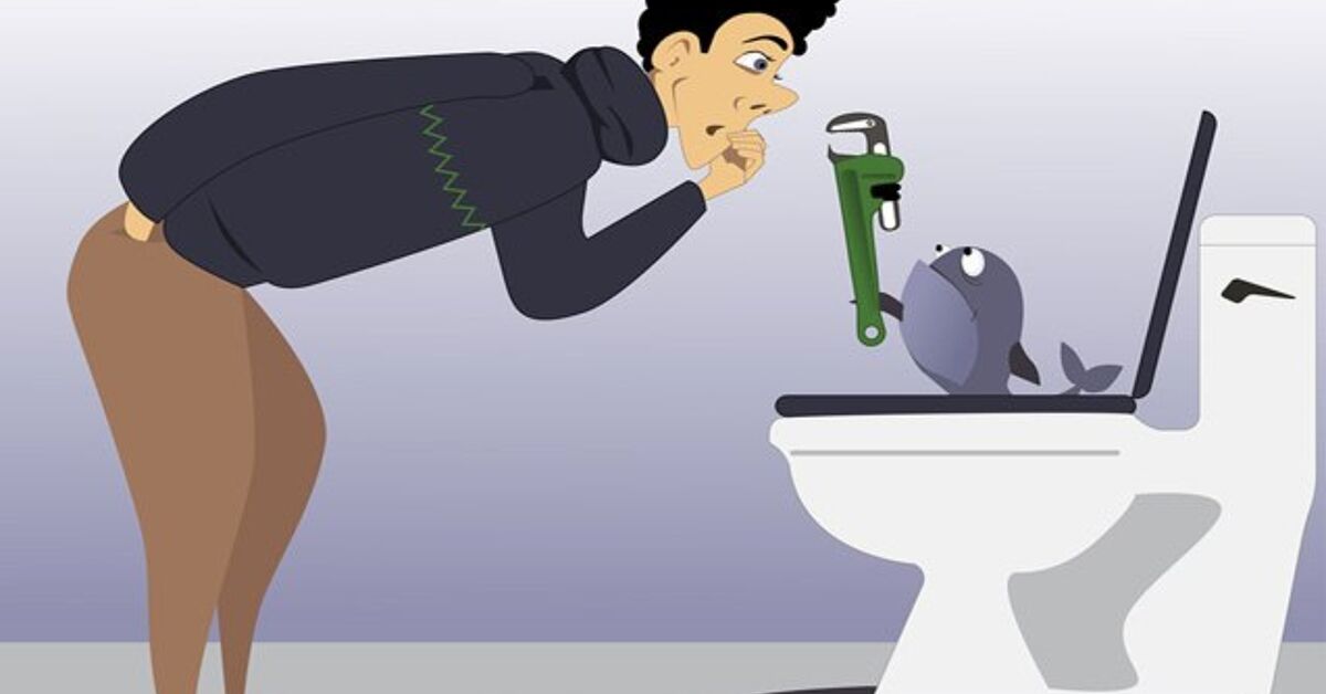 Fish Flushing: Why Toilet Funerals Need To Go | PetGuide