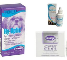Kinetic Pet Eye Drops Recalled Due to Bacteria Contamination