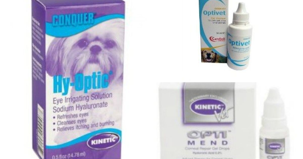Kinetic Pet Eye Drops Recalled Due to Bacteria Contamination | PetGuide