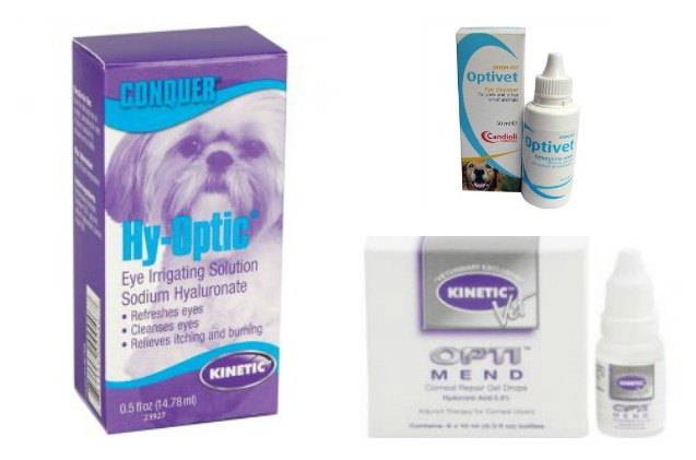 kinetic pet eye drops recalled due to bacteria contamination