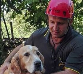 Rescue Of Dog From Earthquake Rubble Will Have You In Tears [Video]
