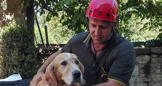 rescue of dog from earthquake rubble will have you in tears video