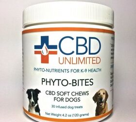 cannabidiol soft chews may help dogs with separation anxiety