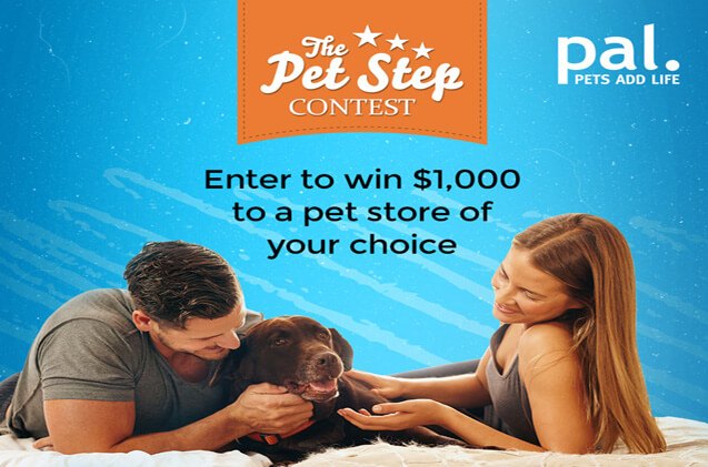 step up to win a 1000 gift card from pets add life